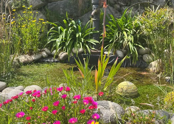 Quinta Da Lembranca Tatil Evi *